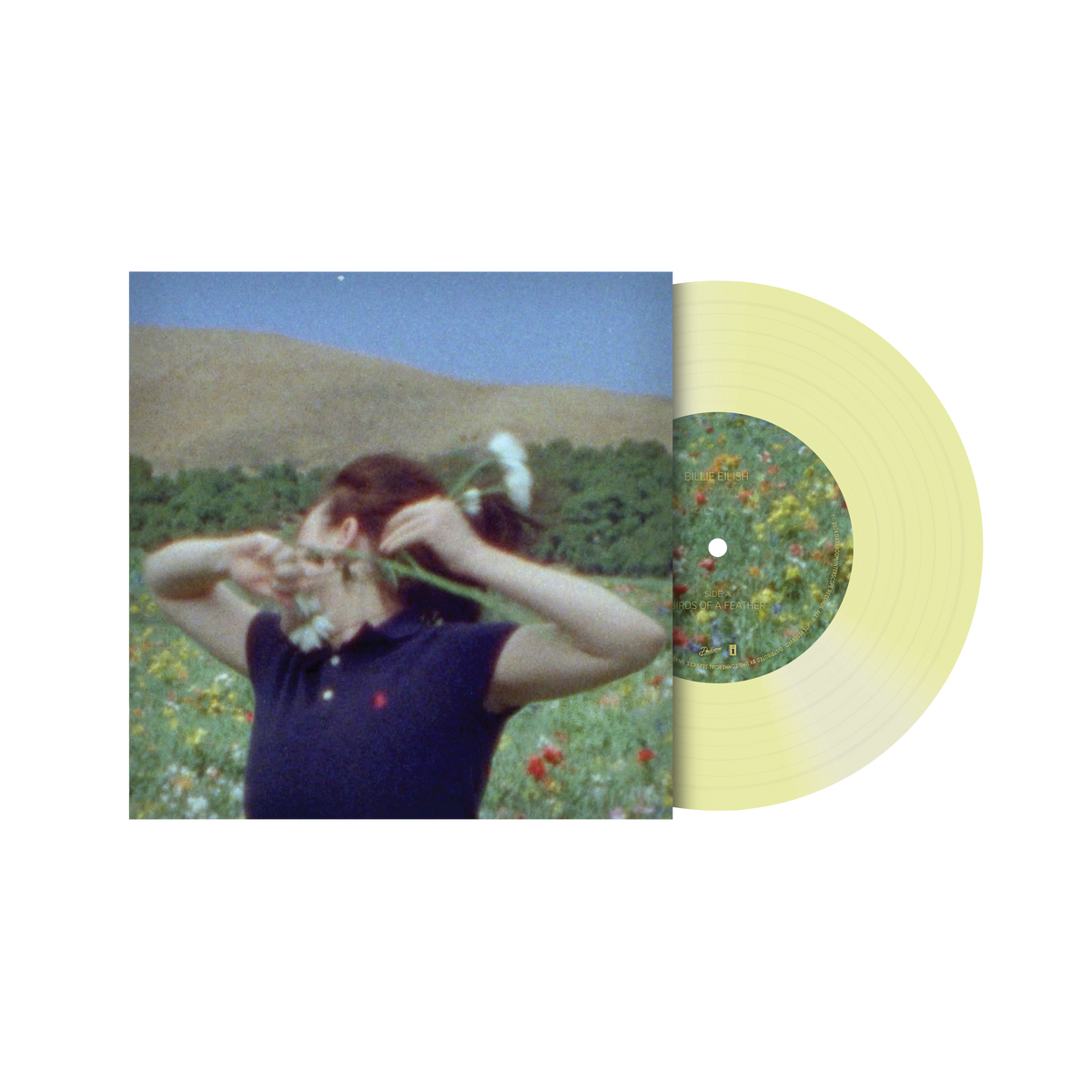 BIRDS OF A FEATHER Vinyle 7" [Vert translucide]