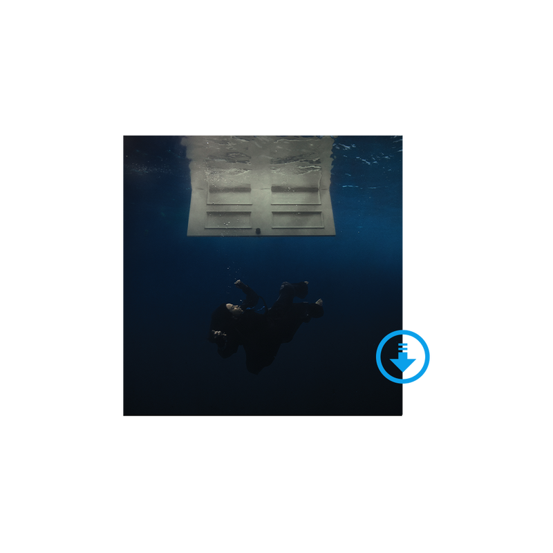 HIT ME HARD AND SOFT Album Numérique