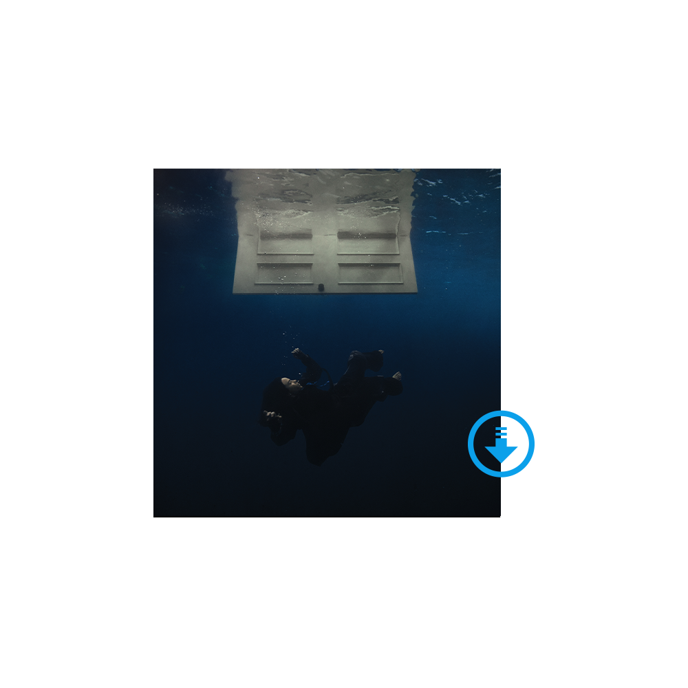 HIT ME HARD AND SOFT Album Numérique