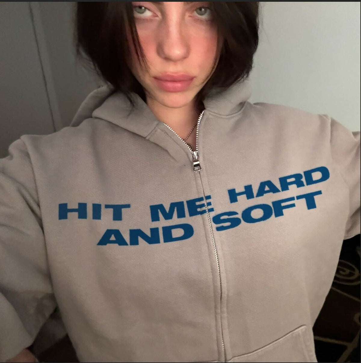 HIT ME HARD AND SOFT Sweat à capuche zippé gris